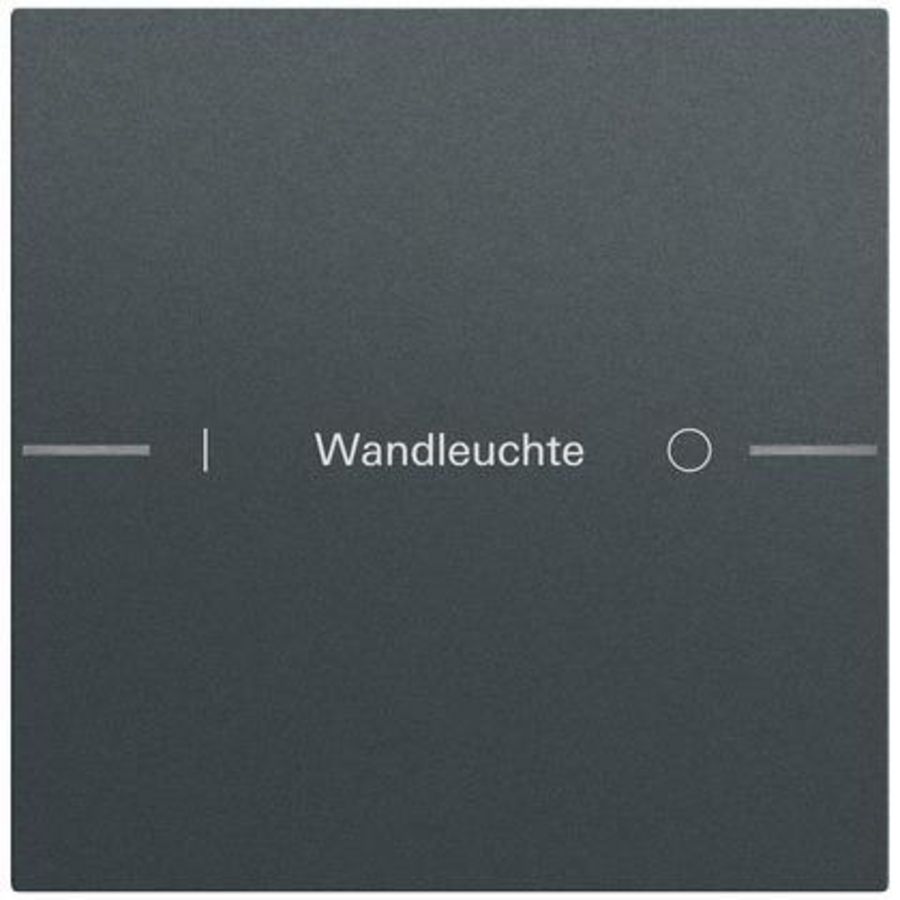 Wippenset 1-voudig indiv. tastsens.4.70 antracit(gel.)