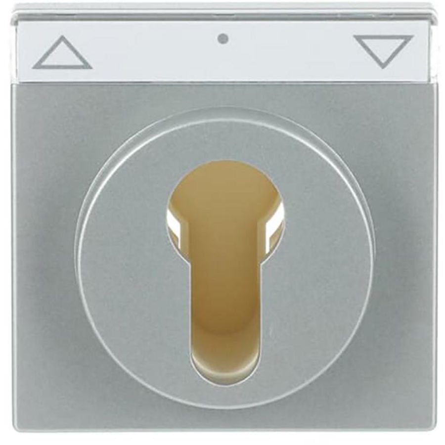 Centraalplaat inb 2733 USL-101 sokkel f-aluzilver (1755 SL/PZ-83-101)