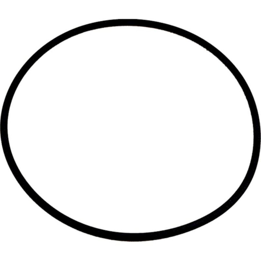 O-ring branderdichting 8905738