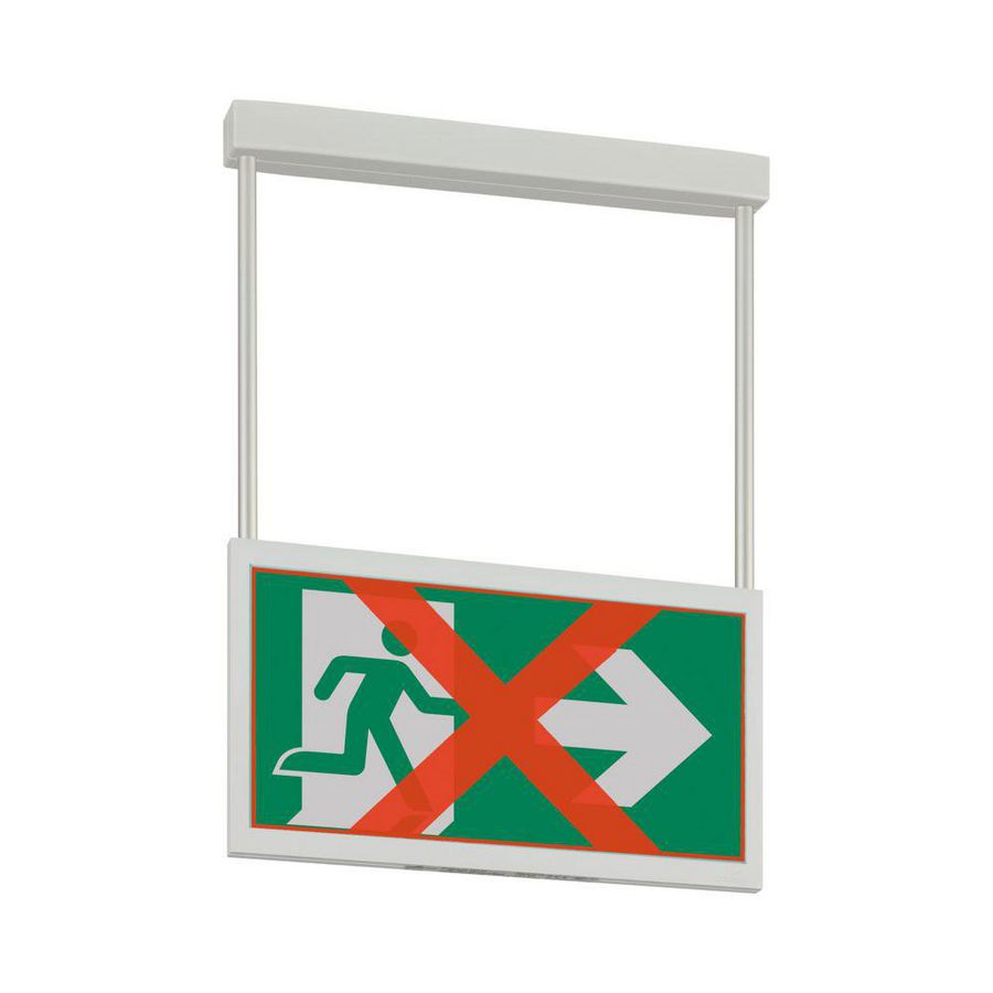 Noodverlichting pendel 05m centraal adaptieve evacuatie DX 30m