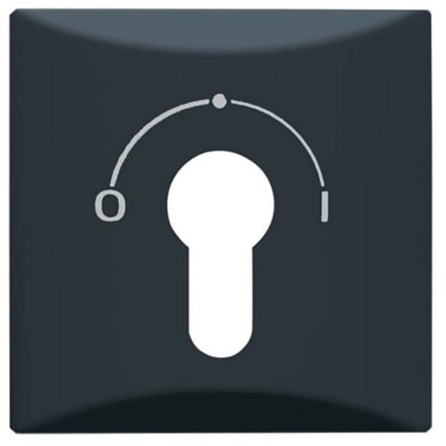 Centraalplaat slot v 2733USL-101 IP44 A-w antraciet (2155 SLPZ-35)