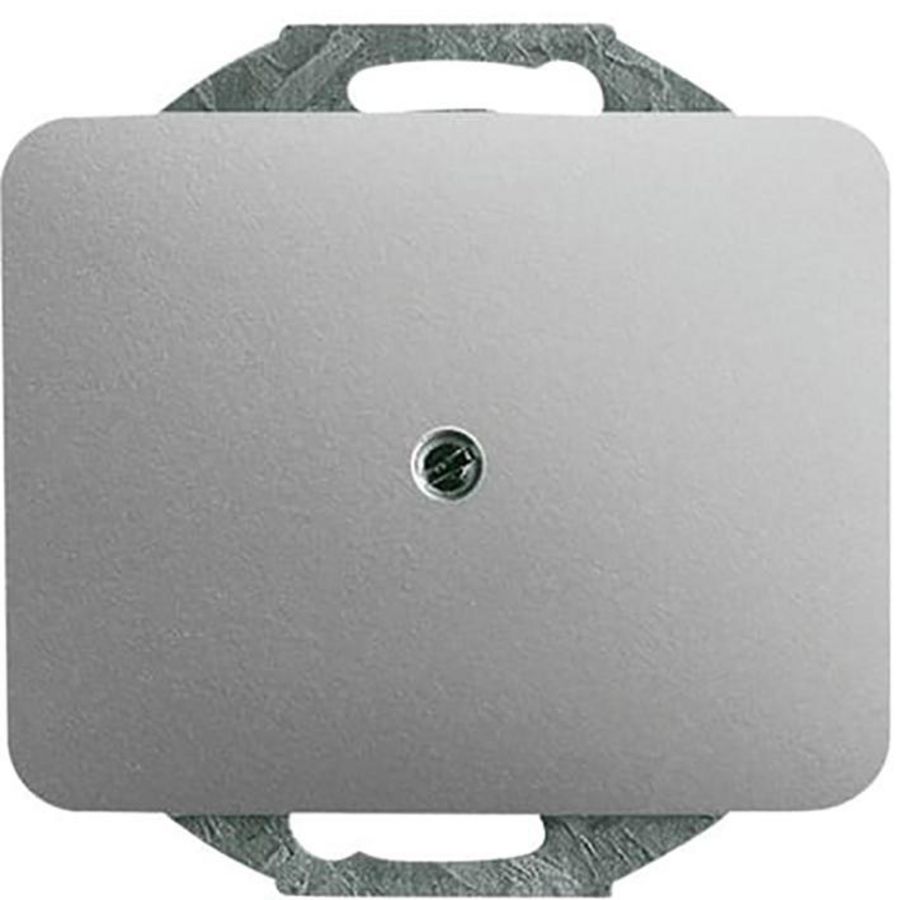 Centraalplaat blinde inb draag a-titanium (1742-266)