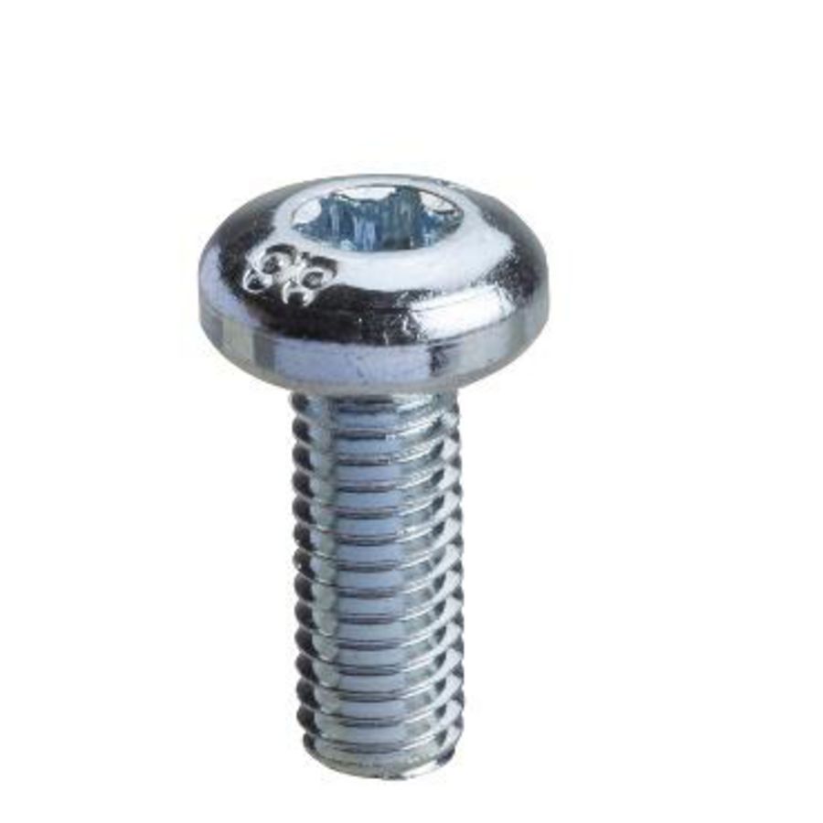 Torx-Schroef T30 M6 16mm VVE=100