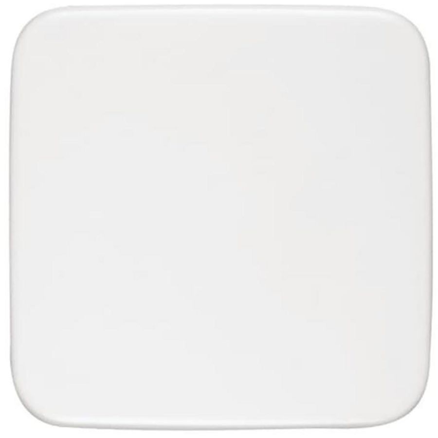 Infoline centraalplaat blind R-alpinwit (1576 C-214)
