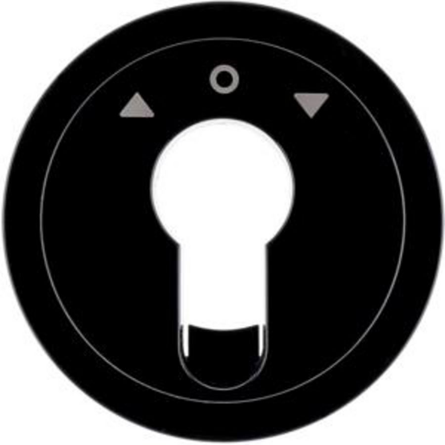 Centraalplaat jaloezie sleutelschakelaar/impulsdrukker berker R.1R.3 zwart