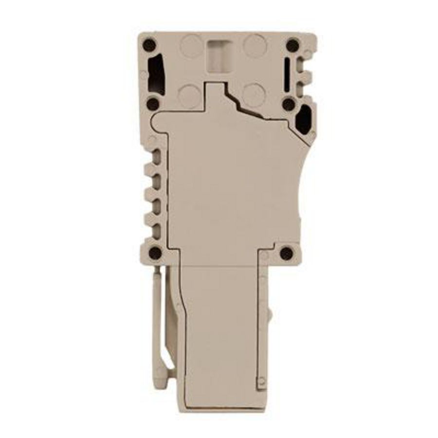 Plug (terminal) d.beige 4mm² 32A 80 1848340000 VVE=50