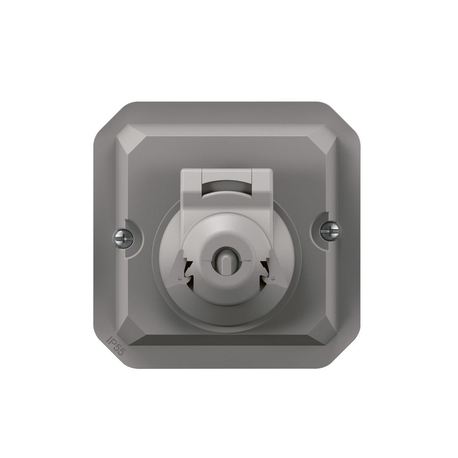 Adapter RJ45 mechanisme grijs Plexo