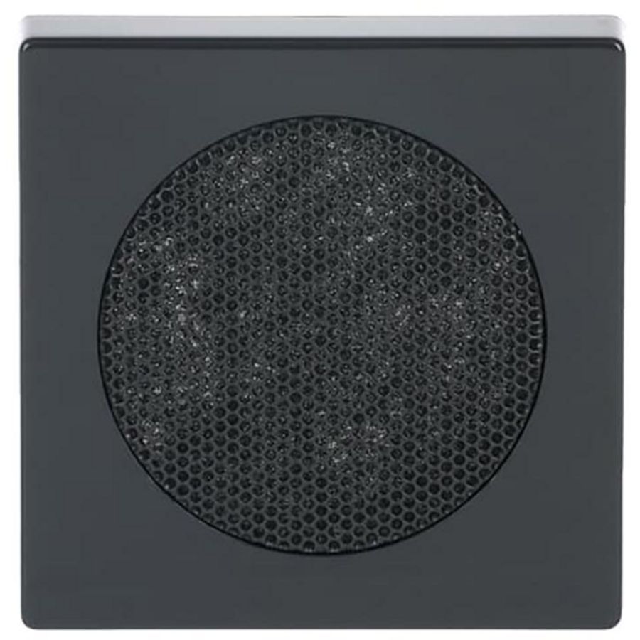 Centraalplaat voor radioluidspreker f-antraciet (8253-81)