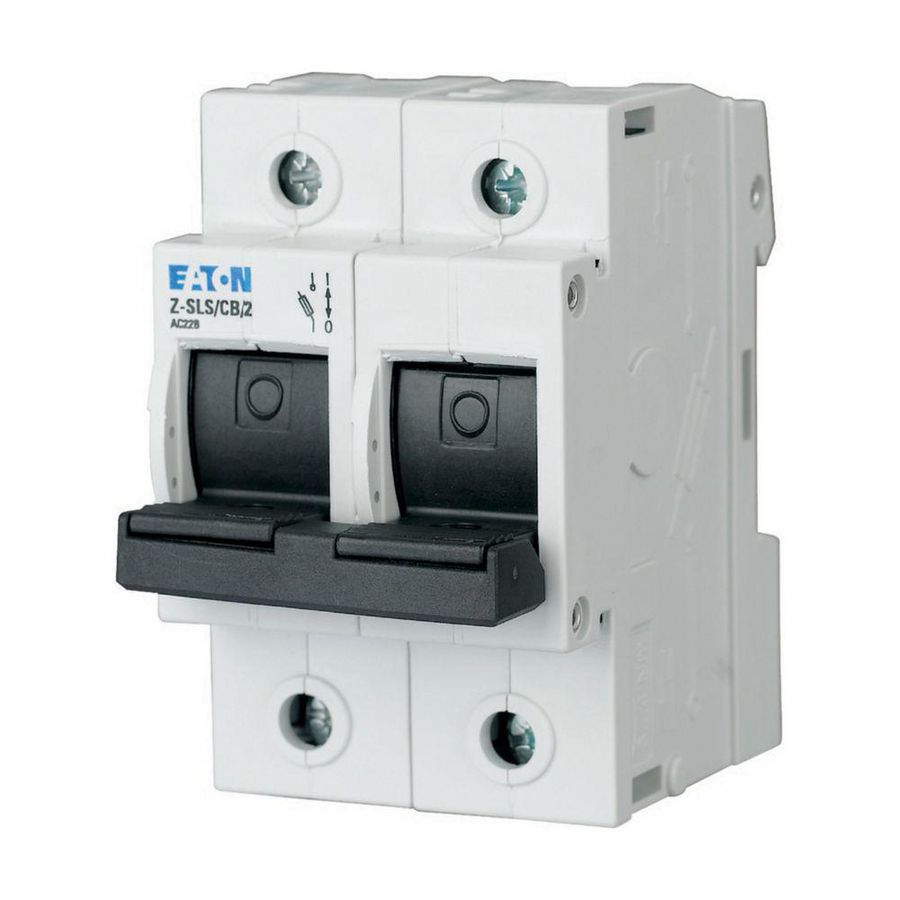 Zekeringlastscheider D02 met trip indicator, 63A, 2p 54mm Eaton