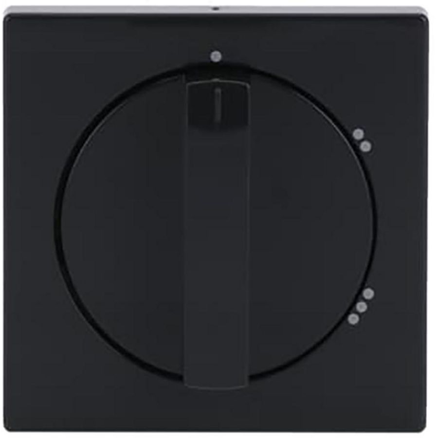 Centraalplaat v 3 standen schak 2710/1 U f-antraciet (2542 DR/02-81)