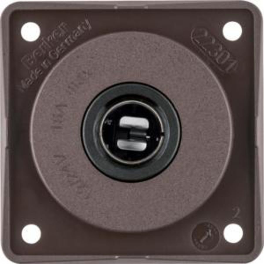 Wandcontactdoos 12V 16A berker Integro bruin