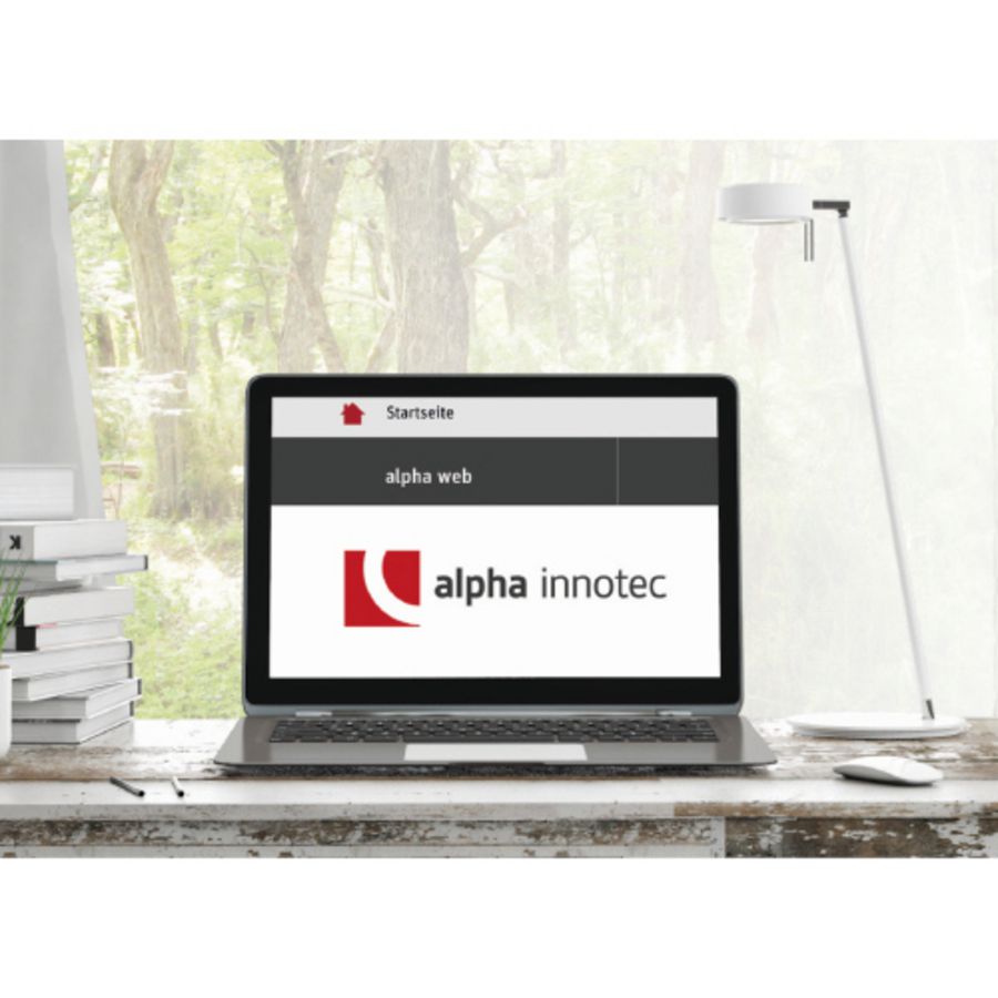 Web Professional (1uur+sms)