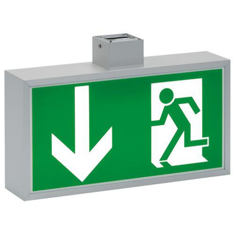 Noodverlichting plafond centraal CG-S vluchtroute aanduiding 32m