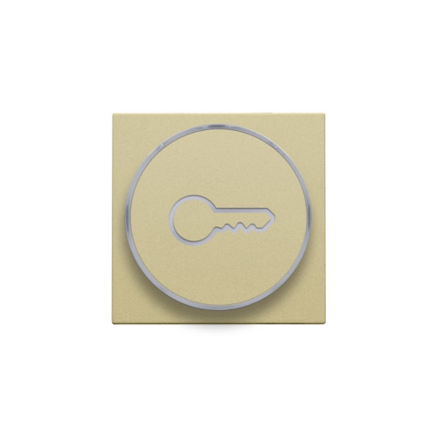 Afwerkingsset doorschijnende ring sleutelsymb. 6A gold c.