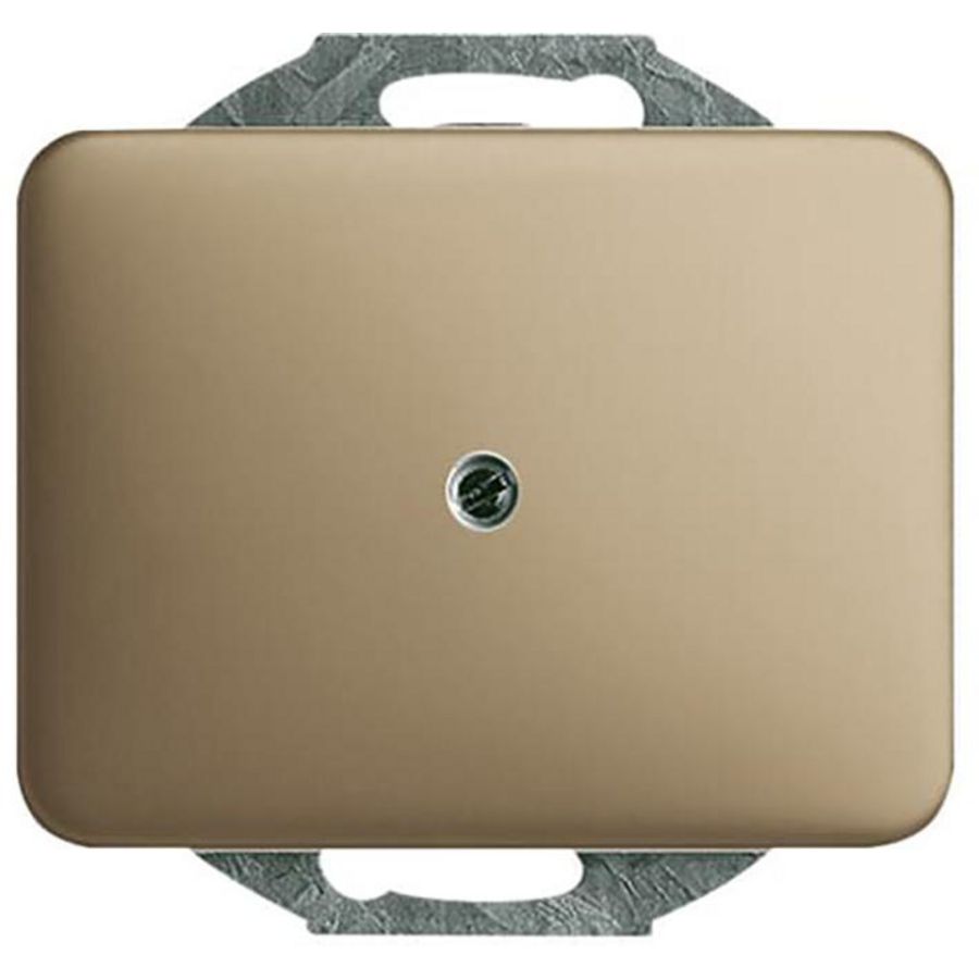 Centraalplaat blind a-brons (1742-21)