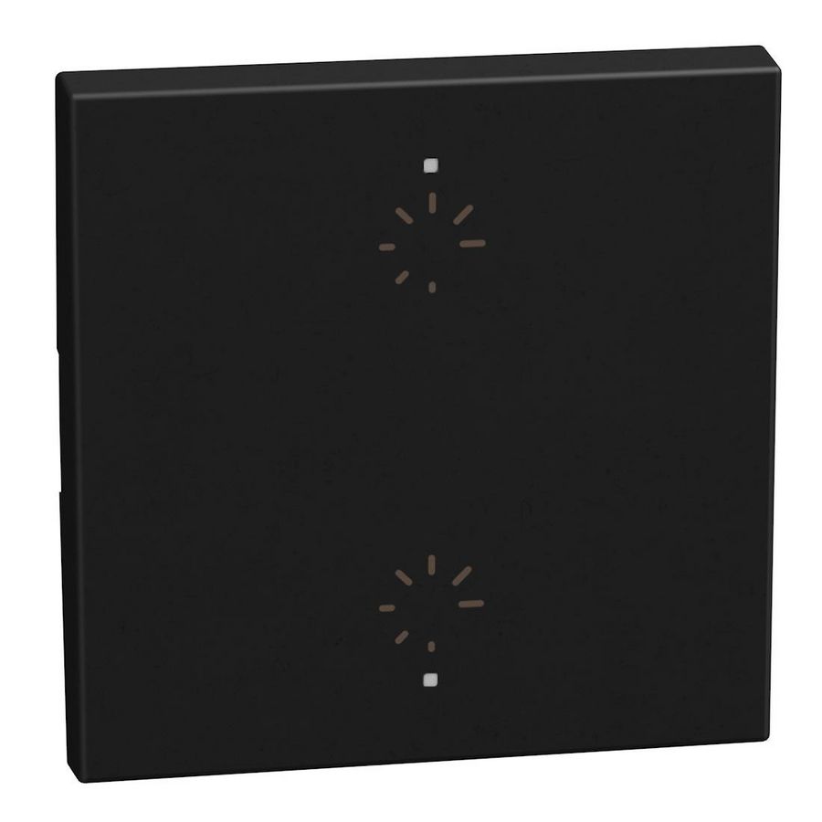 Light Now toets pict. dimmer MyHOME 2 modules 2 functies zwa