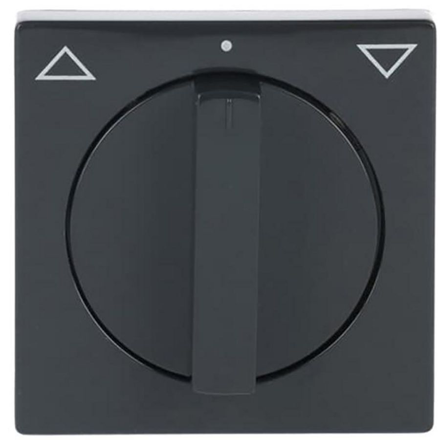 Centraalplaat v inb jaloeziesch greep draai f-antraciet (1740-81)