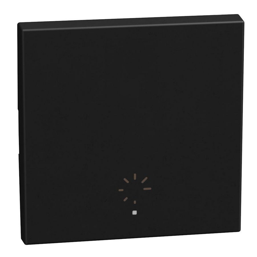 Light Now toets pict. dimmer MyHOME 2 modules 1 functie zwar
