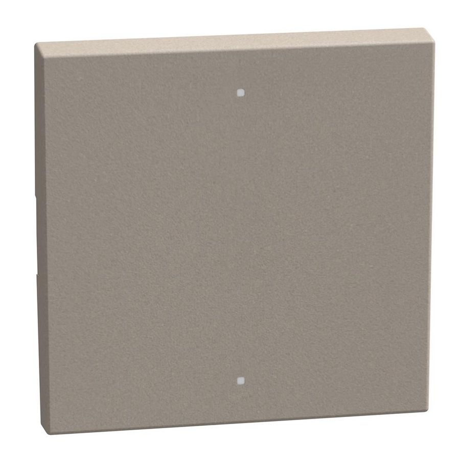 Light Now toets z. symbool MyHOME 2 modules 2 functies stone