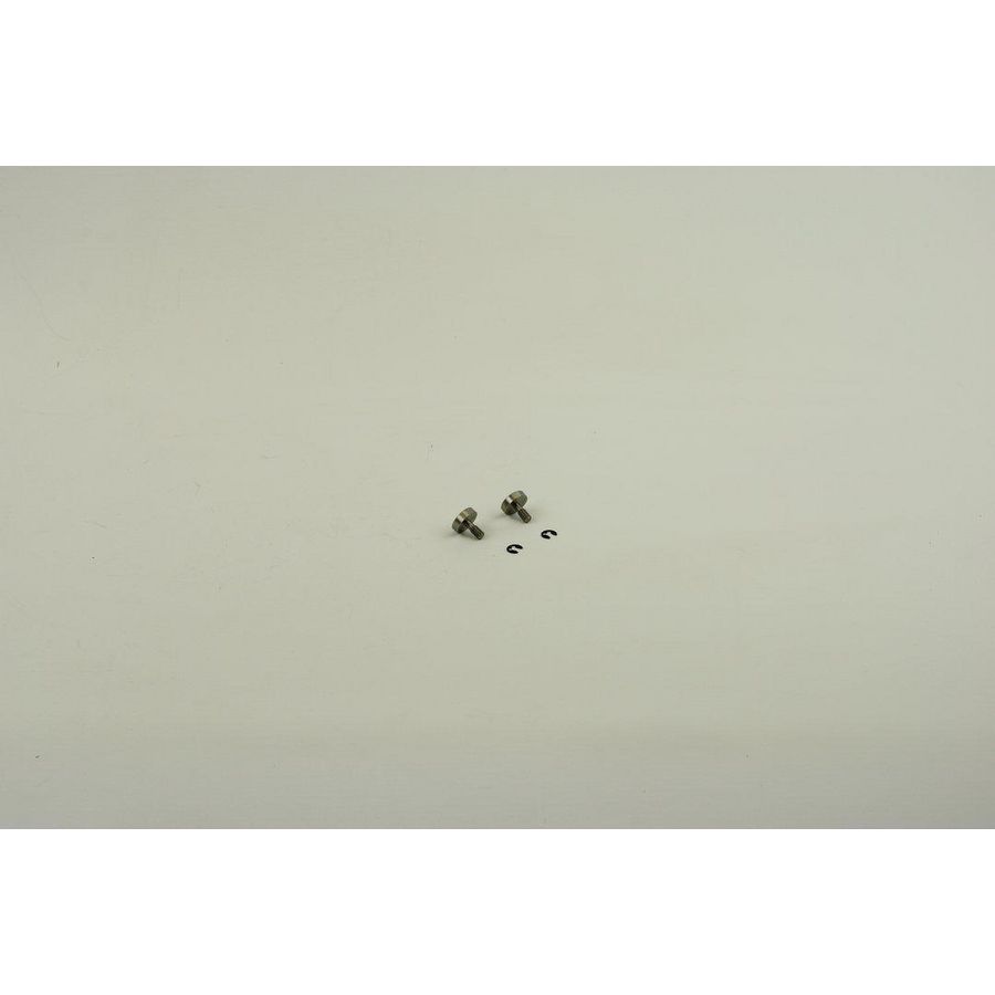 Schroef + borgring 2x 8738901744