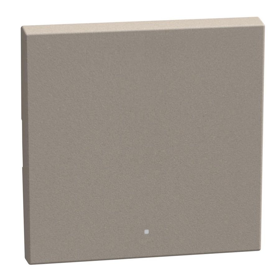 Light Now toets z. symbool MyHOME 2 modules 1 functie stone