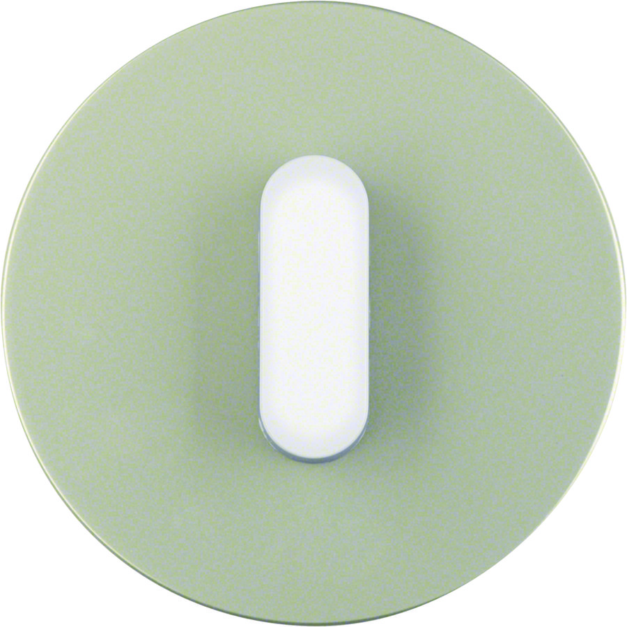 Afdekplaat+knevel Serie R.classic edelstaal polarwit