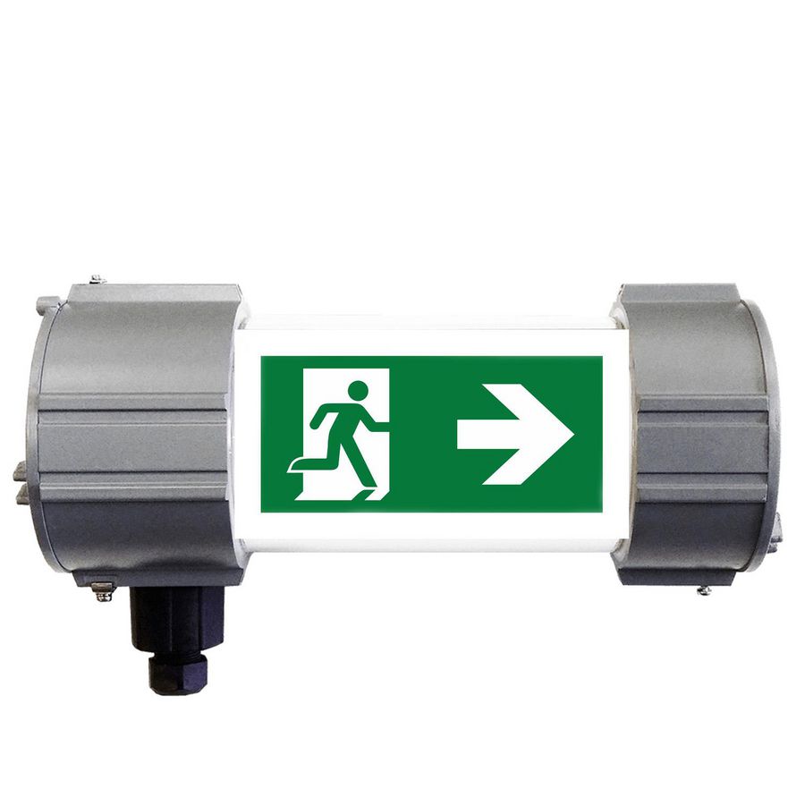 ATEX Vluchtwegverlichting Noodverlichting zone 1/21 2xM20