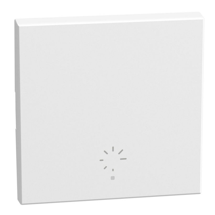 Light Now toets pict. dimmer MyHOME 2 modules 1 functie wit