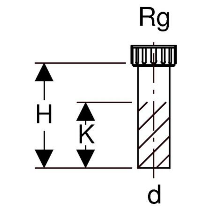 Polyethyleen (PE) sifonaansluitstuk met wartel en pakking d 50/Rg 6