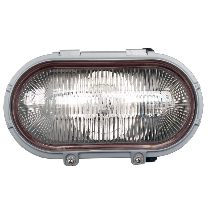 ATEX Bulkhead LED zone 1/21 24V AC/DC 2450lm Transparent