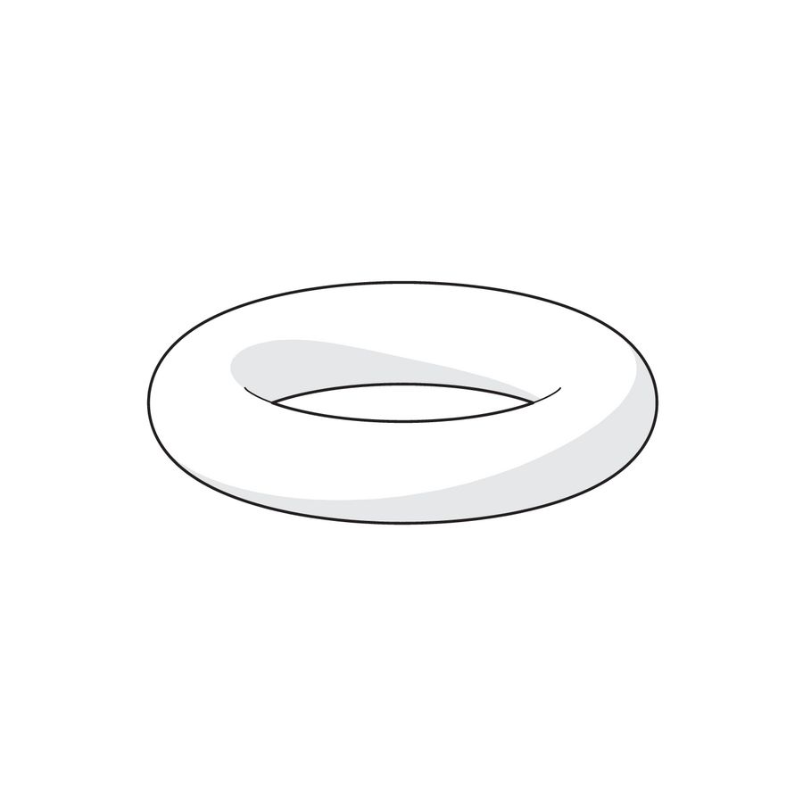 O-ring 59905020