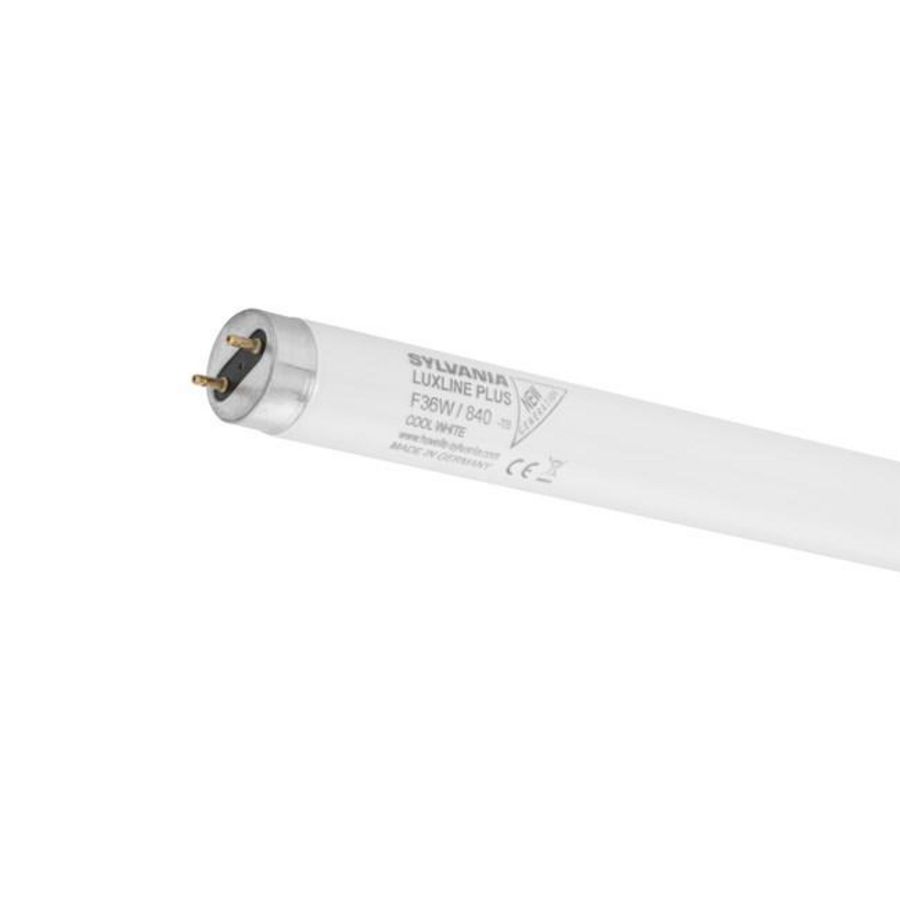 TL-buis T8 25W 830 30" (742mm) Luxline Plus VVE=5