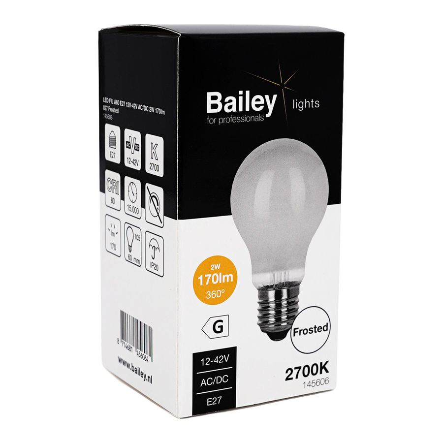 LED-lamp A60 FIL E27 12V-42V AC/DC 2W 170lm 18W 827 Frosted