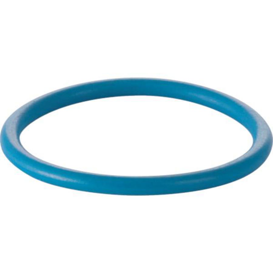 O-ring voor douchearm AqC8/8000plus