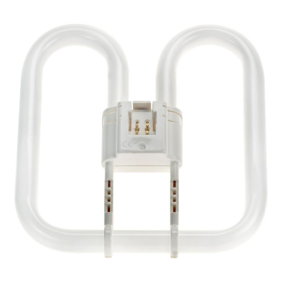 2D GR10q 4Pin 28W/840 4000K