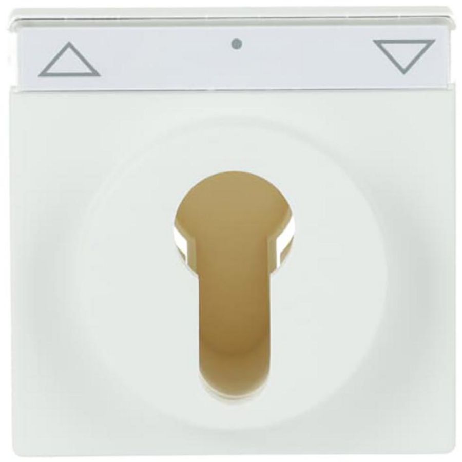 Centraalplaat slot f-matwit (1755 SL/PZ-884-101)