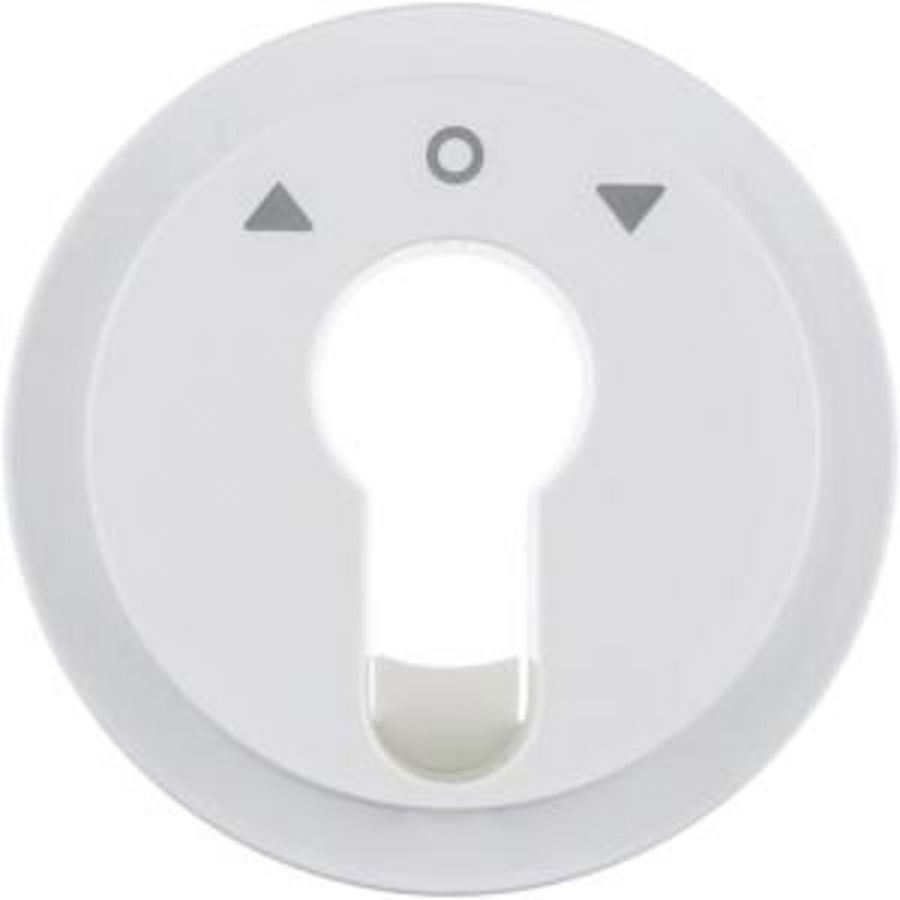 Centraalplaat jaloezie sleutelschakelaar/impulsdrukker berker R.1/R.3 polarwit