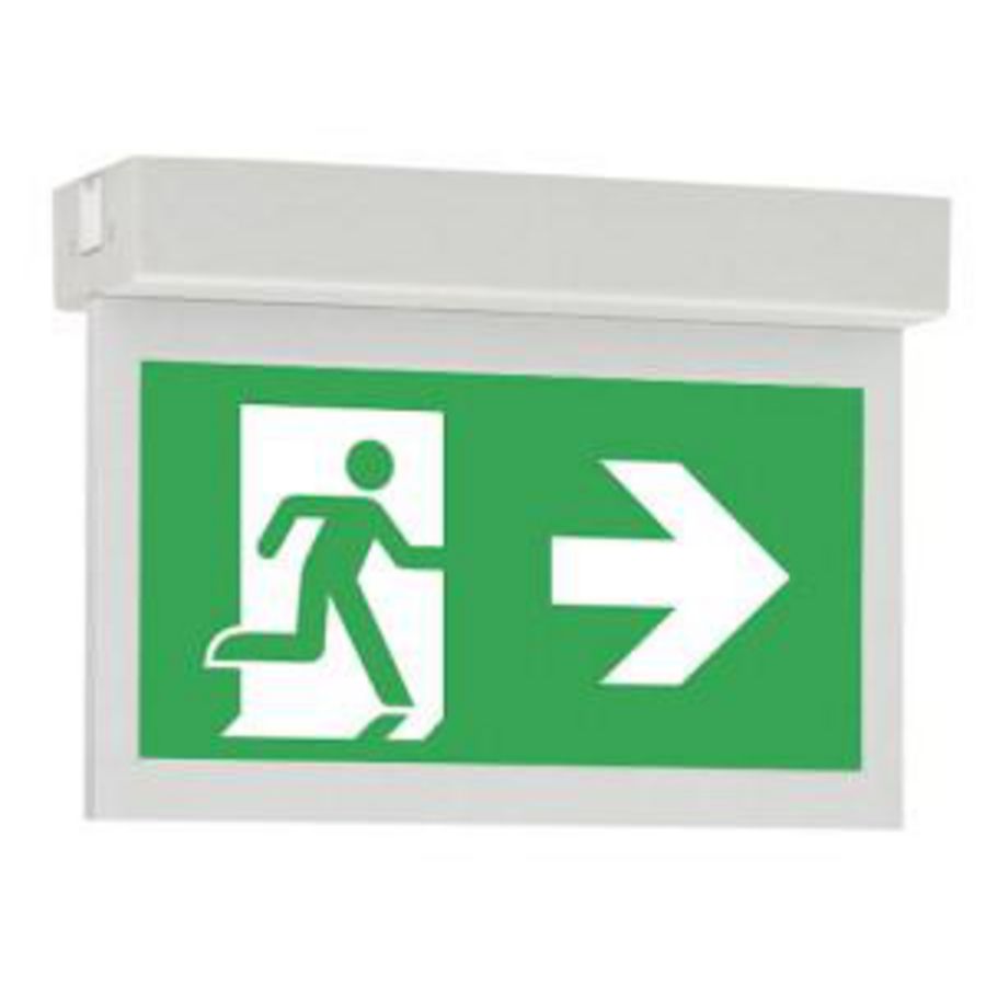 Noodverlichting plafond opbouw decentraal AT/CGL+ vluchtroute aanduiding 20m