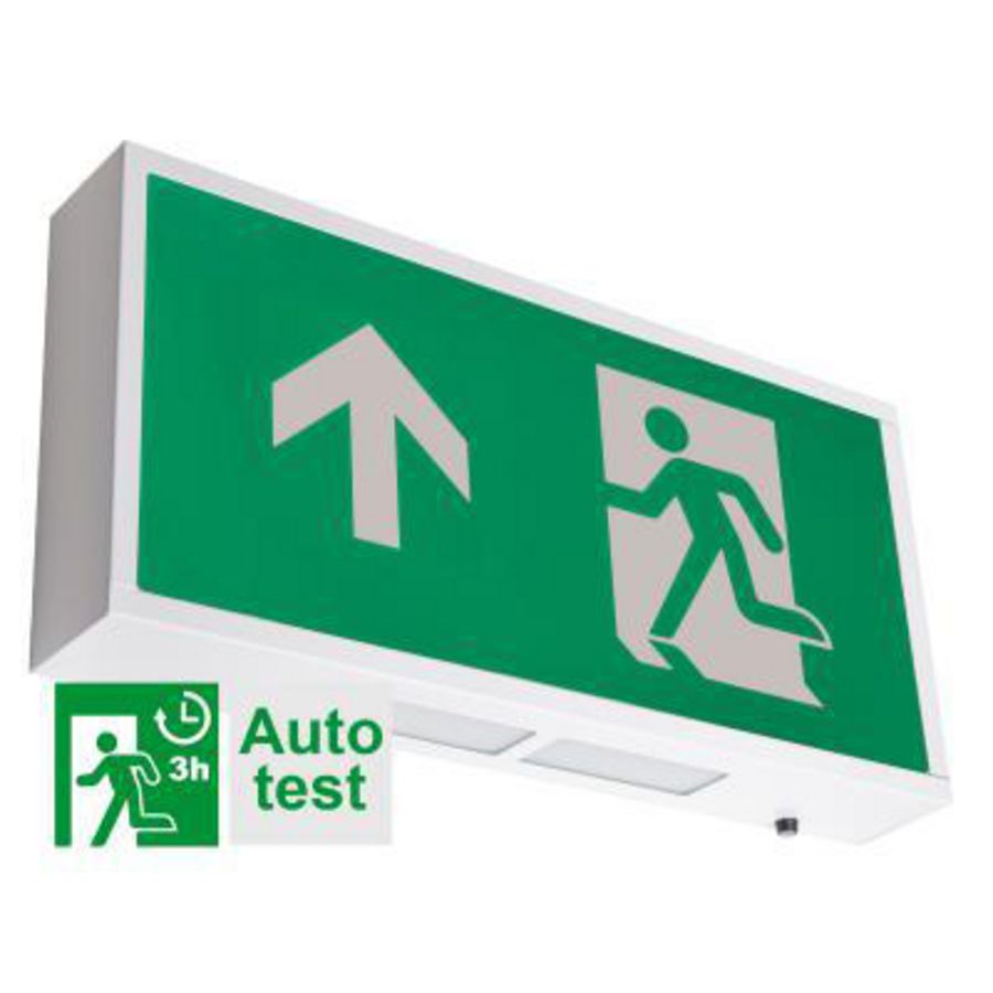 TEMPUS WAND/DOWNL.AUTOT.