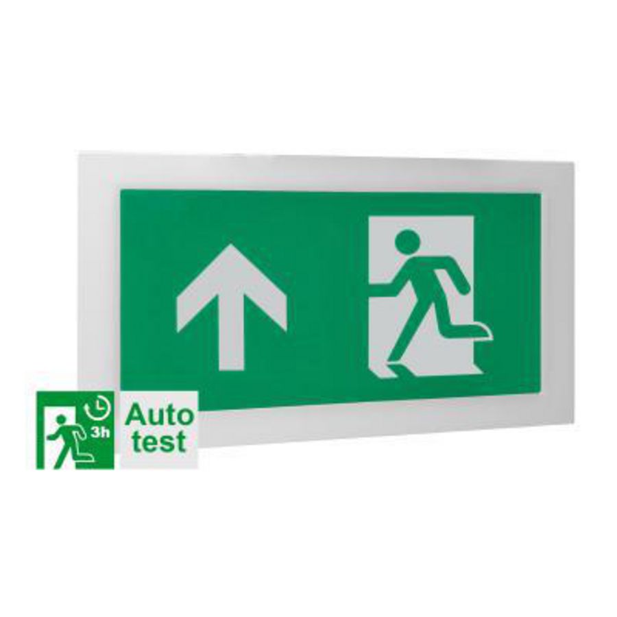 TEMPUS VLUCHT WAND AUTOTE