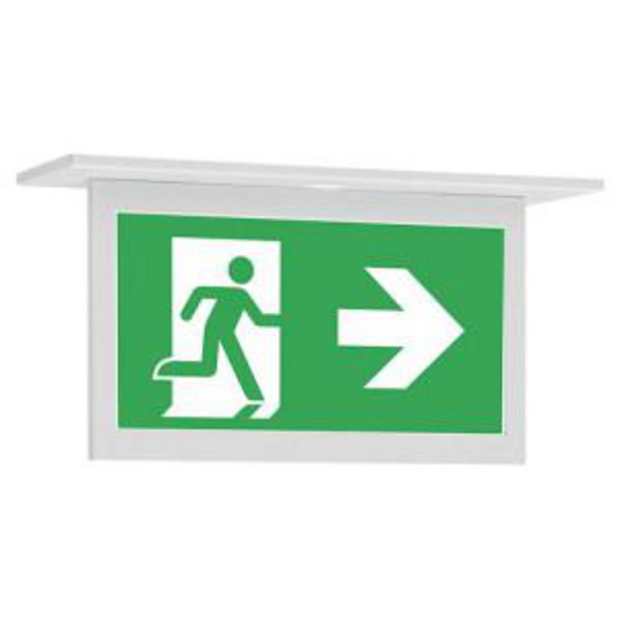 Noodverlichting plafond inbouw decentraal AT/CGL+ vluchtroute aanduiding 20m