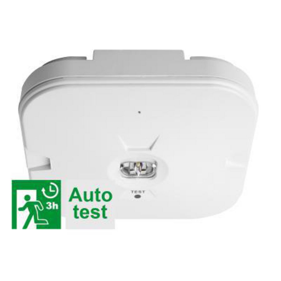 TEMPUS NOOD OPB.GANG AUTO