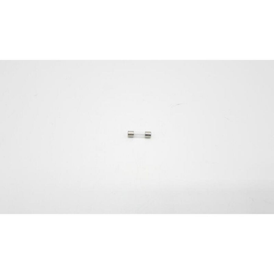 Micro zekering 250V 20x5mm 1A