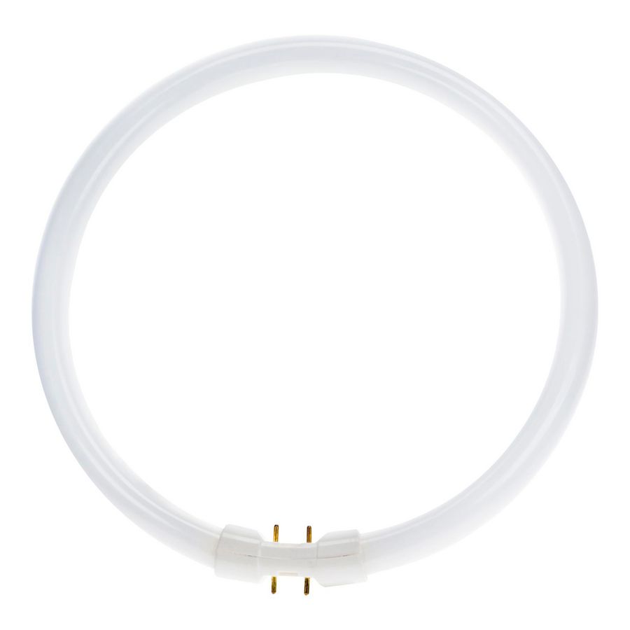 TL-buis TL5 Circular 2GX13 40W 3300lm 830