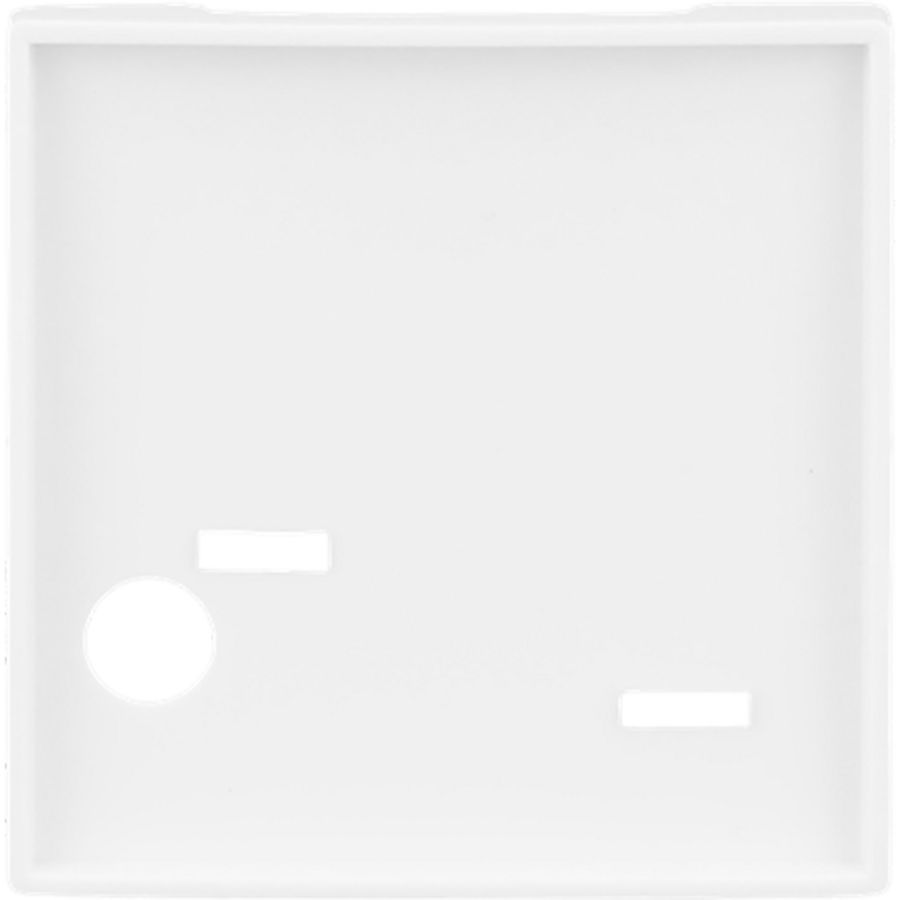 Centraalplaat voor Ackermann treksnoer SI-B-alpinwit (2548-046 A-914)