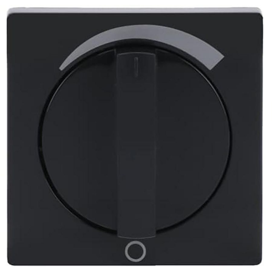 Centraalplaat + greep volume f-antraciet (1740 DR/03-81)