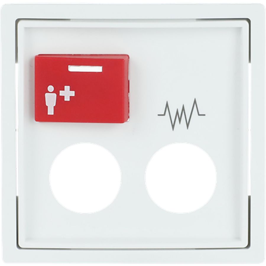 Centraalplaat voor Ackermann RM Trd 2steek s-stwit (2548-071 D-84)