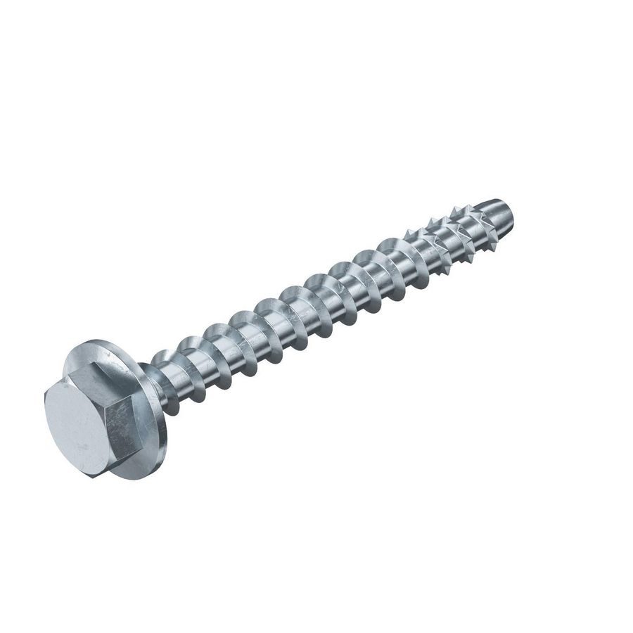 Schroefanker brandwerend aangedrukte sluitring 12x100VVE=25