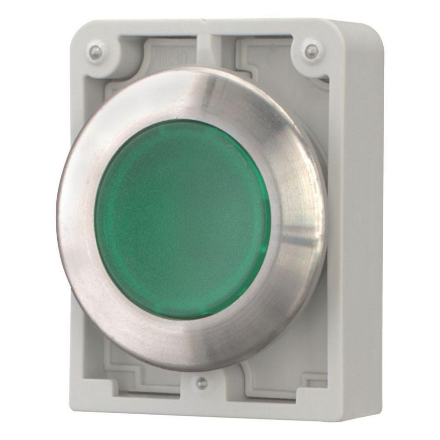 Signaaldrukknop 30mm RVS vlak groen terugverend