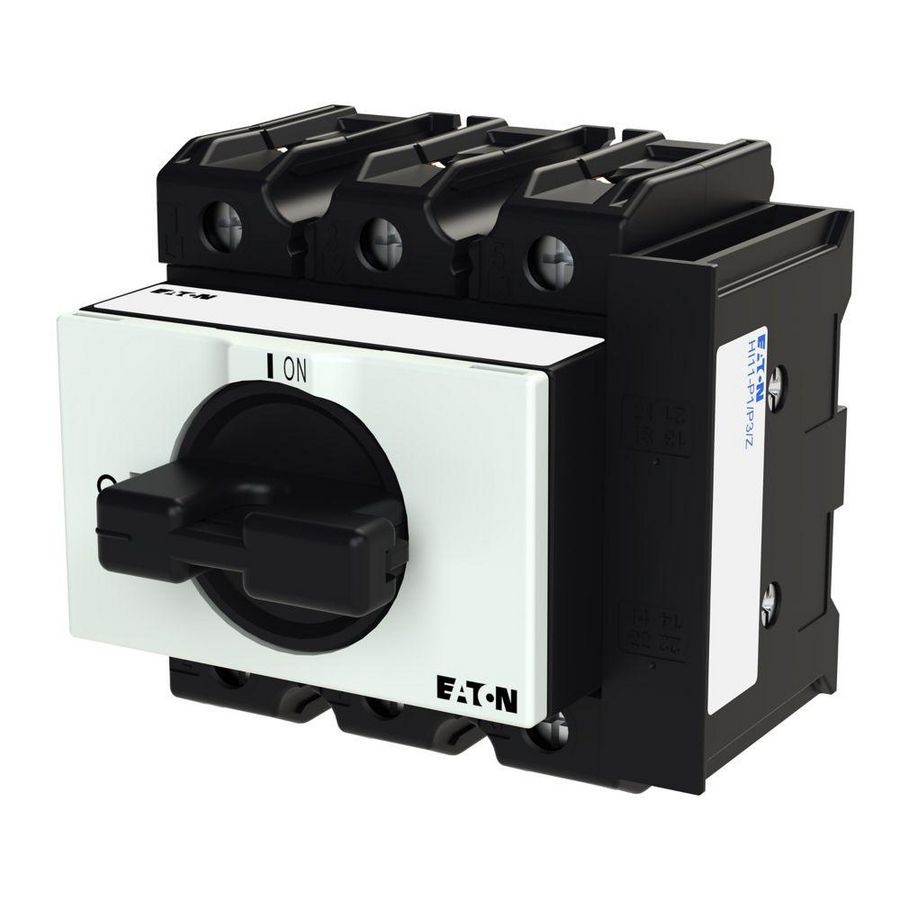 P3-80/IVS/HI11